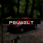 ویندشیلد طرح «PEUGEOT»