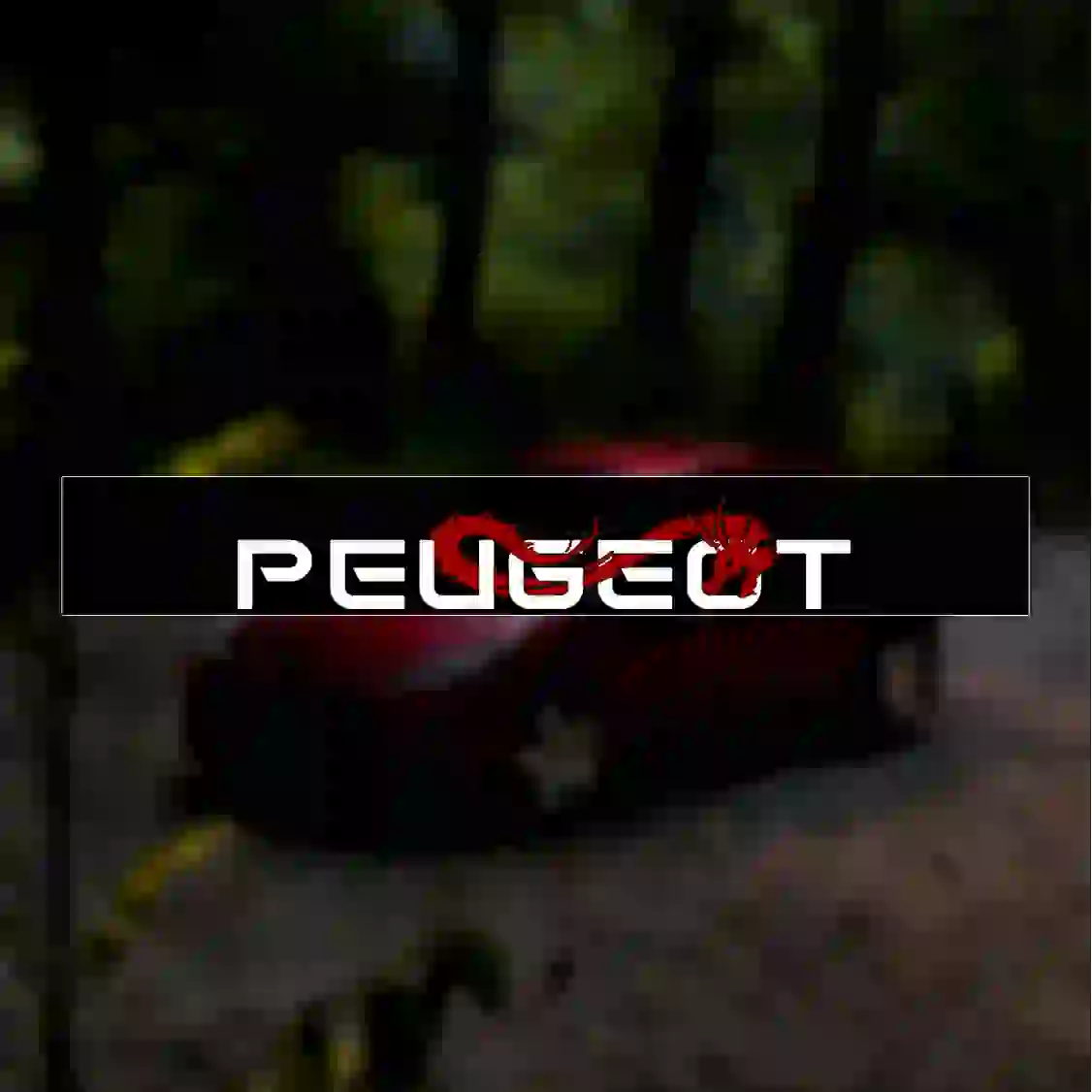 18 ویندشیلد طرح «PEUGEOT» - Image 1