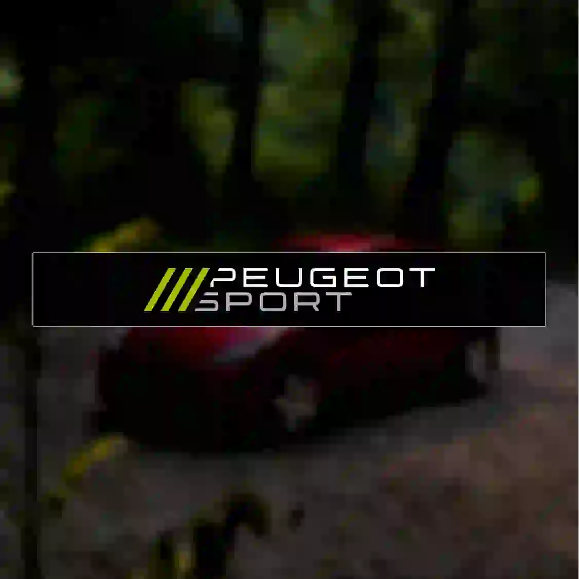 24 ویندشیلد طرح <PEUGEOT SPORT> - Image 1
