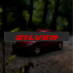 ویندشیلد طرح SILVER