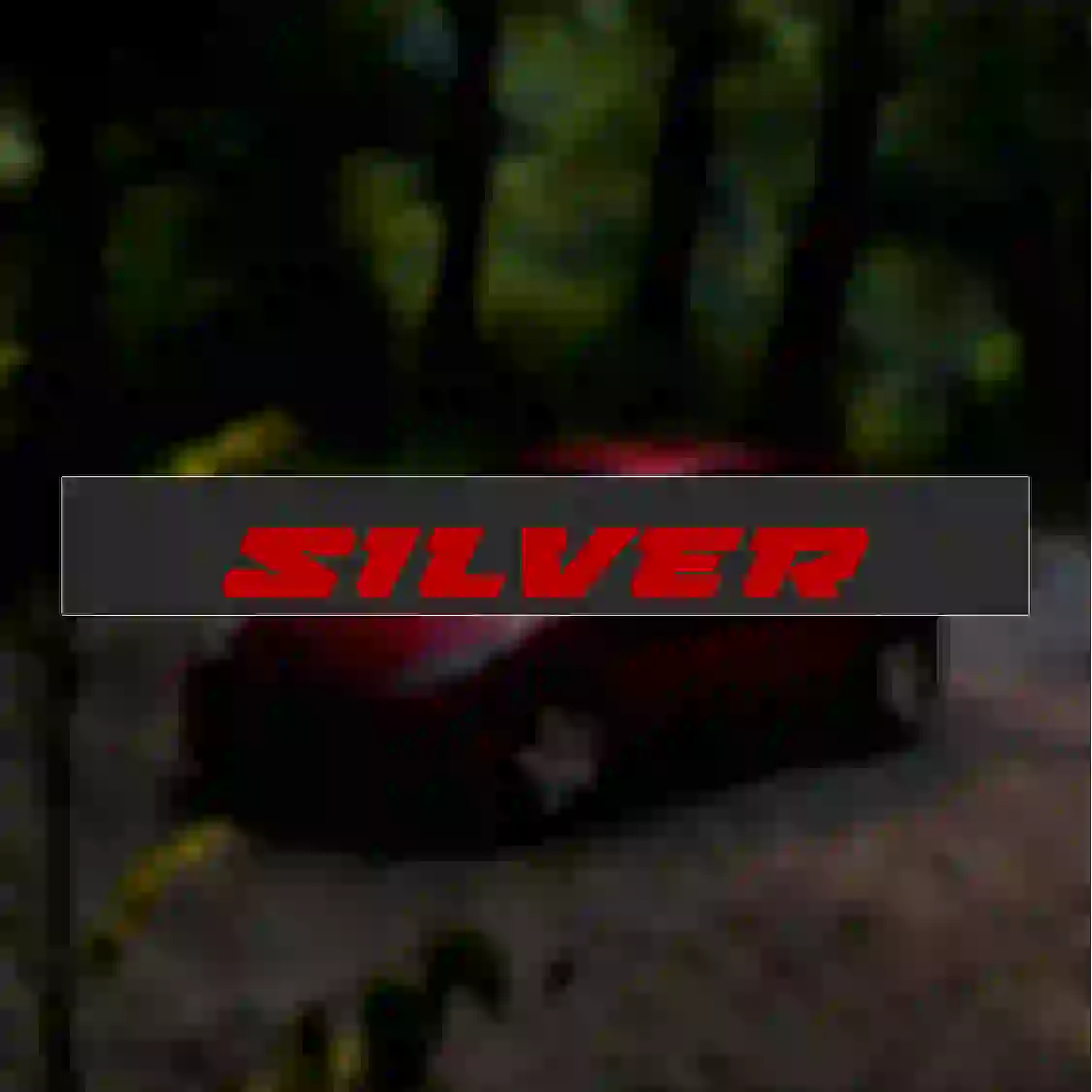 29 ویندشیلد طرح SILVER - Image 1